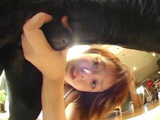 動物のセックス
