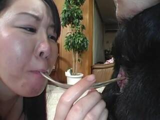 犬のクソ赤ちゃん