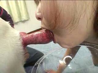 犬のコックを吸う