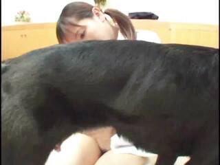 犬は売春婦をファック